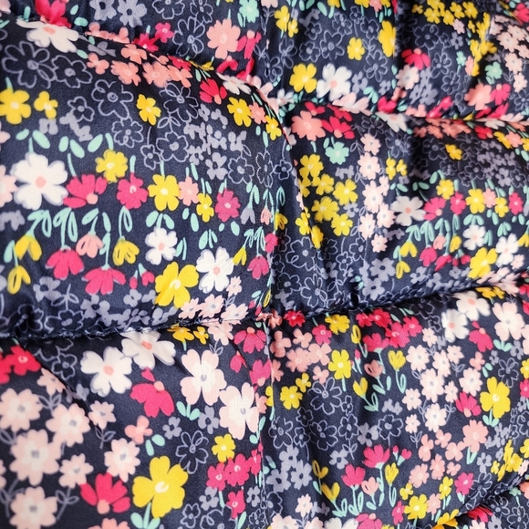 NWT Carters Snow Set Bibs & Puffer Coat Fleece Lined Blue Pink Floral Size S/4 - Picture 12 of 16